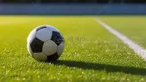 【鲜氧彩讯】双色球2026016期权威预测：蓝球精选08、13、15，免费杀号来袭！